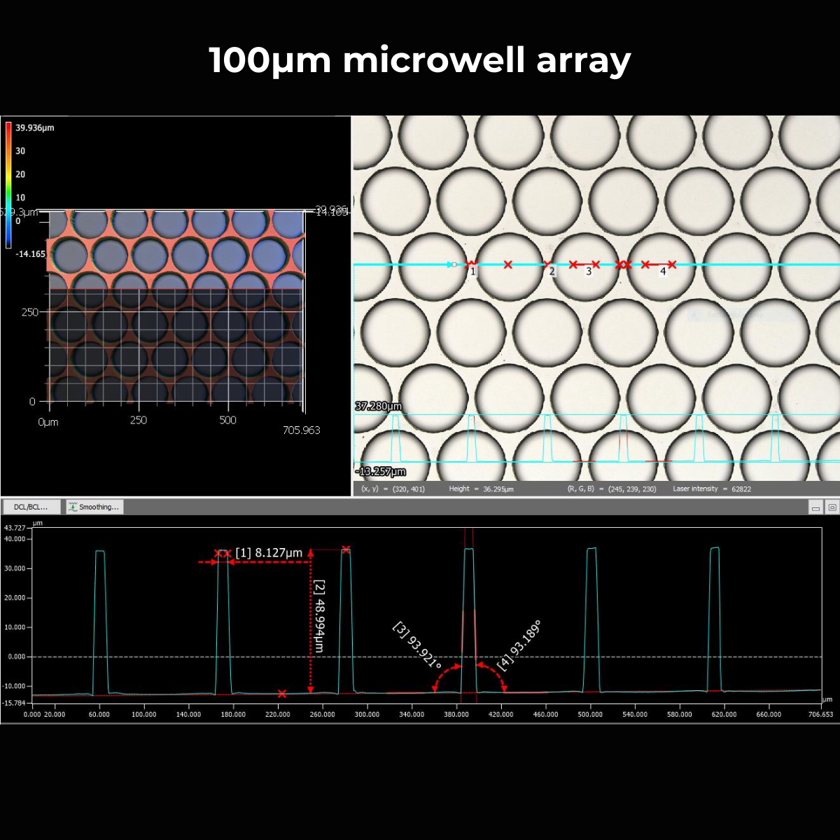 100μm microwell array-1