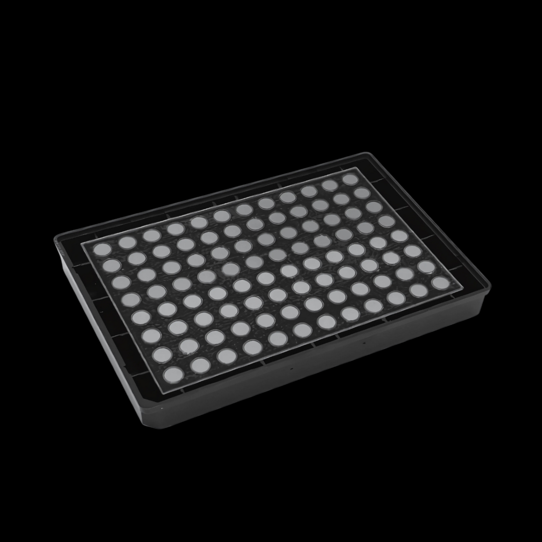 micropatterned SBS Film